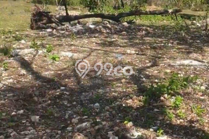 Tanah Dijual Area Strategis di Pecatu Badung 4300m2 Tanah Dijual Area Strategis di Pecatu Badung 4300m2