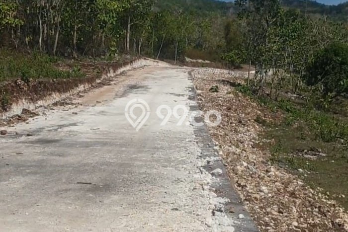 Tanah Dijual Area Strategis di Pecatu Badung 4300m2 Tanah Dijual Area Strategis di Pecatu Badung 4300m2