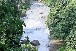 Lahan Strategis di Ubud Dijual dengan Luas 5900m2 Lahan Strategis di Ubud Dijual dengan Luas 5900m2