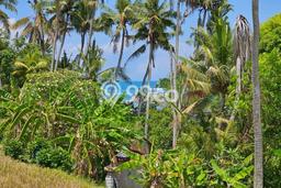 Kavling Tanah untuk Dijual di Cemagi, Badung, Luas 240m2 Kavling Tanah untuk Dijual di Cemagi, Badung, Luas 240m2