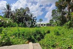Tanah untuk Dijual di Ubud Gianyar Luas 105000m2 Tanah untuk Dijual di Ubud Gianyar Luas 105000m2