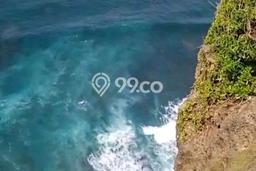 Tanah Kavling Dijual di Badung dengan Spesifikasi 16000m2 Tanah Kavling Dijual di Badung dengan Spesifikasi 16000m2