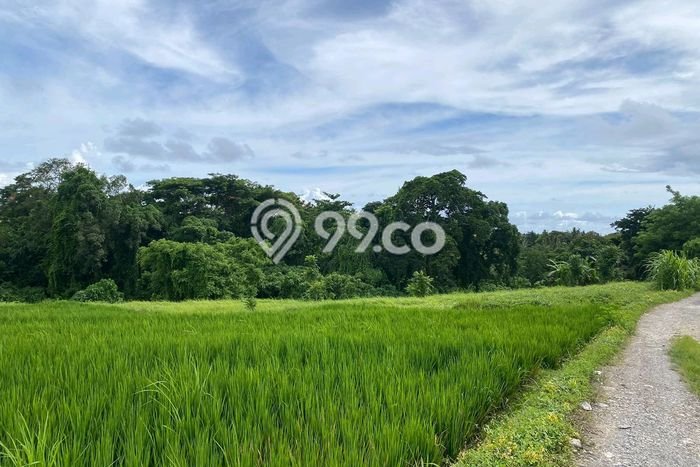 Tanah Dijual di Tabanan Seluas 1500m2 Strategis Tanah Dijual di Tabanan Seluas 1500m2 Strategis