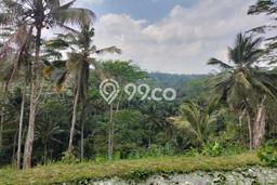 Tanah Dijual Lokasi Payangan, Gianyar Luas 16000m2 Legalitas Aman Tanah Dijual Lokasi Payangan, Gianyar Luas 16000m2 Legalitas Aman