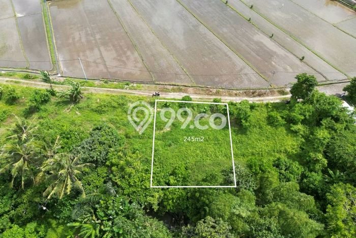 Tanah Siap Bangun Dijual di Tabanan Punya Luas 245m2 Tanah Siap Bangun Dijual di Tabanan Punya Luas 245m2