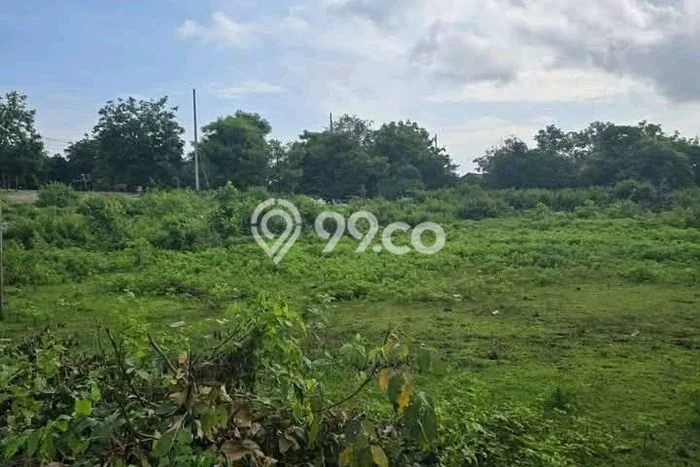 Kavling Tanah untuk Disewa di Balangan Lahan Luas 600m2 Kavling Tanah untuk Disewa di Balangan Lahan Luas 600m2