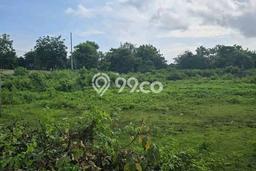 Kavling Tanah untuk Disewa di Balangan Lahan Luas 600m2 Kavling Tanah untuk Disewa di Balangan Lahan Luas 600m2