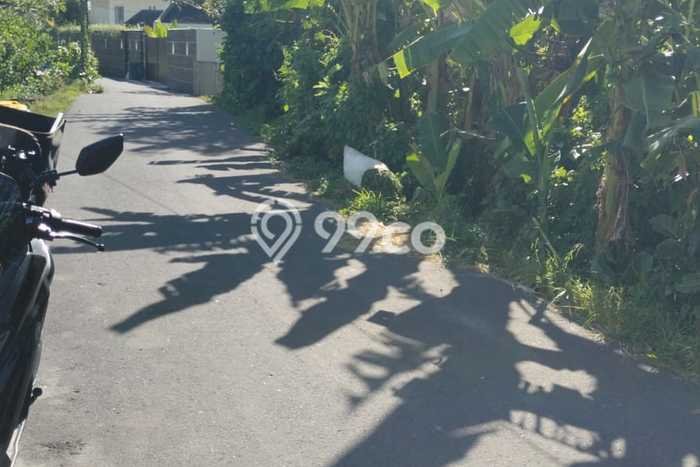 Lahan Dijual Lokasi Strategis di Badung dengan Luas 1000m2 Lahan Dijual Lokasi Strategis di Badung dengan Luas 1000m2