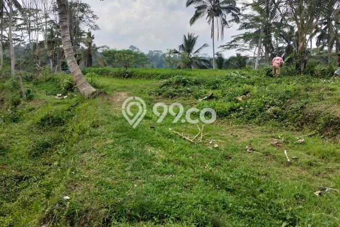 Tanah Dijual Lokasi Payangan, Gianyar Luas 16000m2 Legalitas Aman Tanah Dijual Lokasi Payangan, Gianyar Luas 16000m2 Legalitas Aman