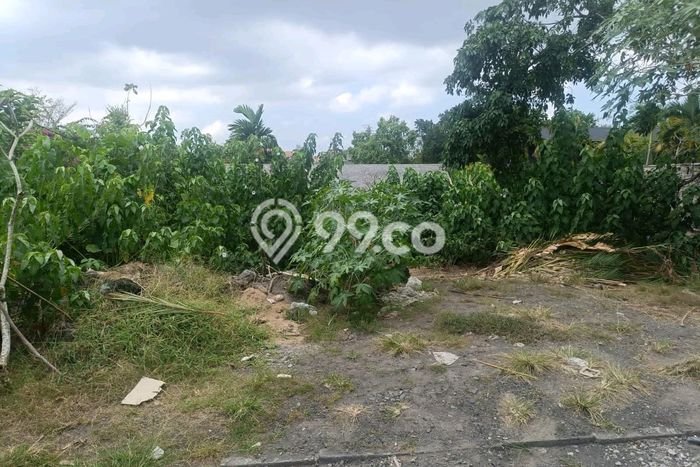 Tanah Siap Bangun Dijual di Badung Punya Luas 600m2 Tanah Siap Bangun Dijual di Badung Punya Luas 600m2