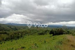 Tanah Strategis Dijual di Petang Badung 14000m2 Tanah Strategis Dijual di Petang Badung 14000m2