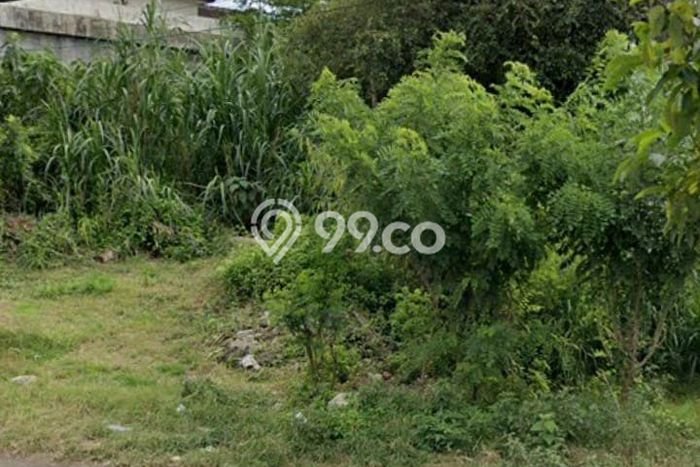 Untuk Disewa Tanah di Pecatu Luas 1200m2 SHM Untuk Disewa Tanah di Pecatu Luas 1200m2 SHM