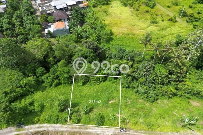 Tanah Siap Bangun Dijual di Tabanan Punya Luas 245m2 Tanah Siap Bangun Dijual di Tabanan Punya Luas 245m2