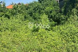 Tanah Kavling untuk Dijual di Kuta Badung 1290m2 Tanah Kavling untuk Dijual di Kuta Badung 1290m2