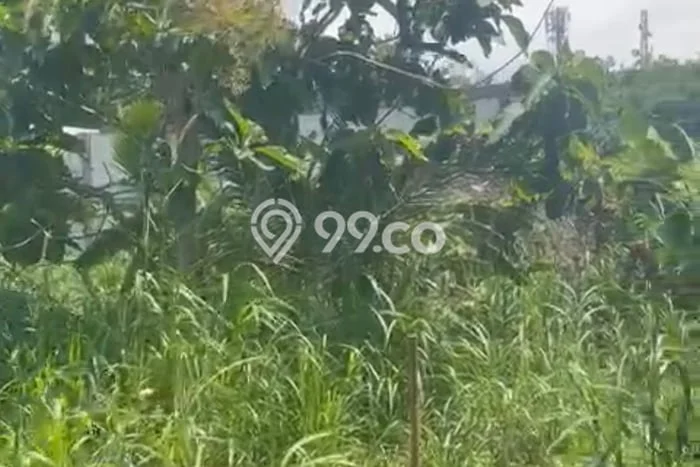 Disewakan Tanah di Badung, Luas 2000m2 Area Berkembang Disewakan Tanah di Badung, Luas 2000m2 Area Berkembang