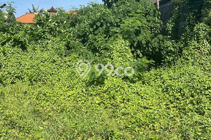 Tanah Kavling untuk Dijual di Kuta Badung 1290m2 Tanah Kavling untuk Dijual di Kuta Badung 1290m2