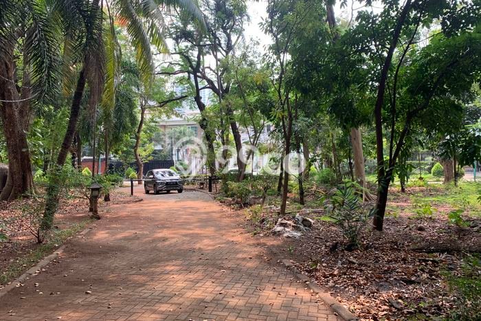 Tanah Disewakan Lokasi Jakarta Utara Seluas 22000m2 Strategis dan Aman Tanah Disewakan Lokasi Jakarta Utara Seluas 22000m2 Strategis dan Aman