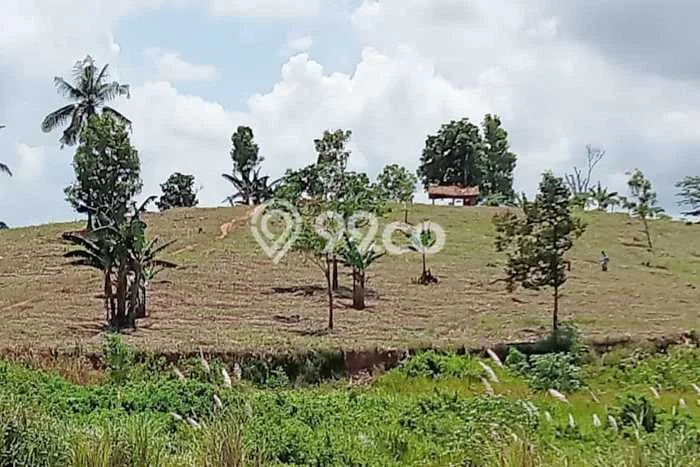 Kavling Tanah di Merbau Mataram Dijual Luas 18880m2 Legalitas - Kavling Tanah di Merbau Mataram Dijual Luas 18880m2 Legalitas -