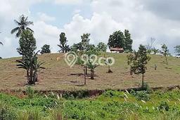Kavling Tanah di Merbau Mataram Dijual Luas 18880m2 Legalitas - Kavling Tanah di Merbau Mataram Dijual Luas 18880m2 Legalitas -