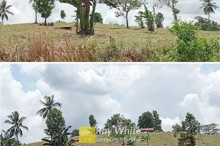 Kavling Tanah di Merbau Mataram Dijual Luas 18880m2 Legalitas - Kavling Tanah di Merbau Mataram Dijual Luas 18880m2 Legalitas -