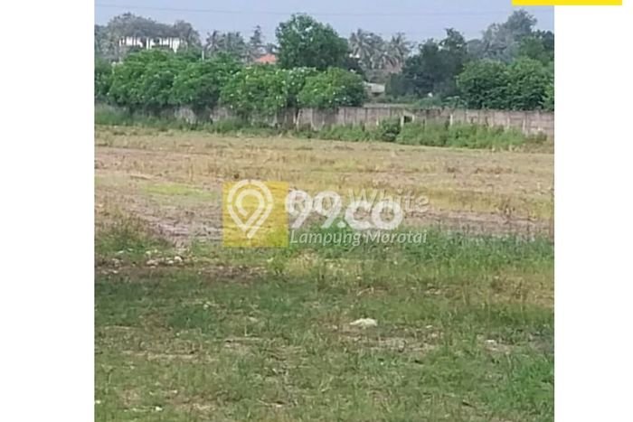 HARGA TERBAIK! Tanah di Sukarame, Luas 1000m², Dekat Jalan Utama, Area Berkembang HARGA TERBAIK! Tanah di Sukarame, Luas 1000m², Dekat Jalan Utama, Area Berkembang