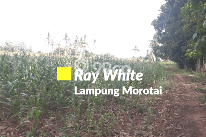 Tanah Kawasan Tanjung Bintang, Luas 52574m², Area Potensial, Dekat Tanjung Bintang, Lampung Selatan, Lampung Selatan Tanah Kawasan Tanjung Bintang, Luas 52574m², Area Potensial, Dekat Tanjung Bintang, Lampung Selatan, Lampung Selatan