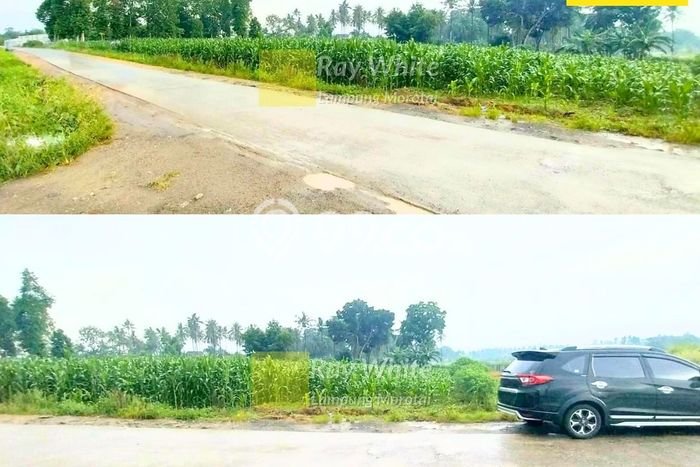 Kavling Tanah Dijual di Natar Lampung Selatan Spesifikasi 2820m2 Kavling Tanah Dijual di Natar Lampung Selatan Spesifikasi 2820m2