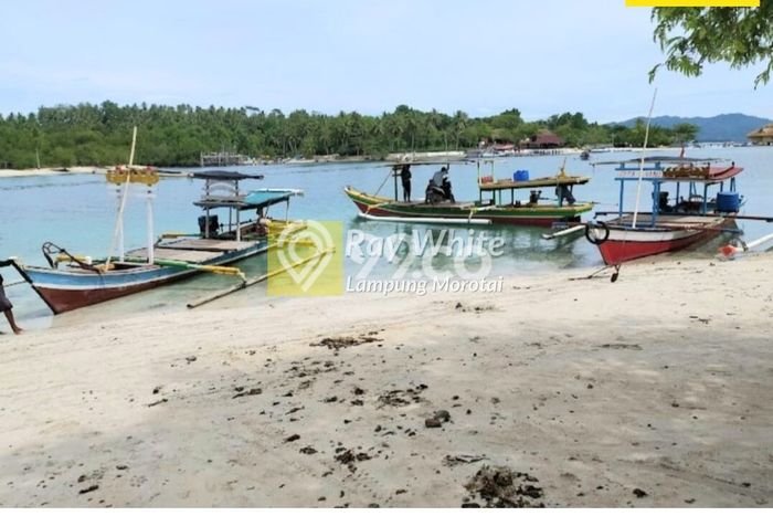 Tanah Dijual Lokasi Padang Cermin, Pesawaran Luas 26089m2 Legalitas Aman Tanah Dijual Lokasi Padang Cermin, Pesawaran Luas 26089m2 Legalitas Aman