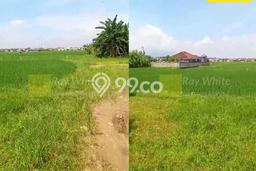 Tanah Dijual Lokasi Sukarame Bandar Lampung SHM Tanah Dijual Lokasi Sukarame Bandar Lampung SHM