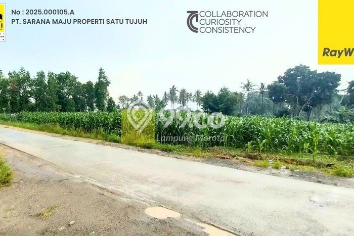 Kavling Tanah Dijual di Natar Lampung Selatan Spesifikasi 2820m2 Kavling Tanah Dijual di Natar Lampung Selatan Spesifikasi 2820m2