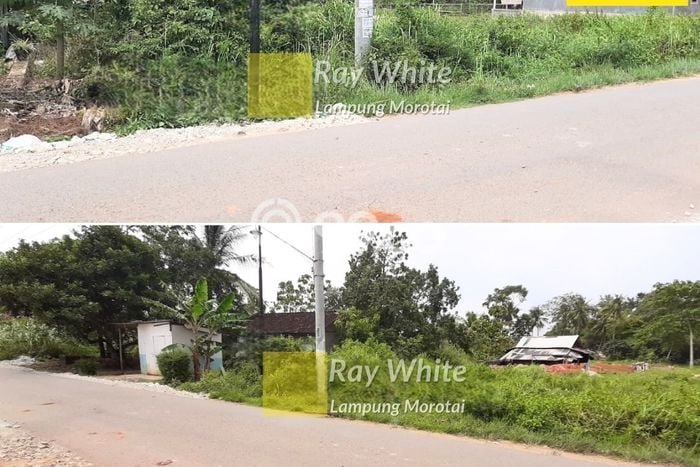 Tanah di Jati Agung, Lampung Selatan Luas 2048m2 Dijual Segera Tanah di Jati Agung, Lampung Selatan Luas 2048m2 Dijual Segera