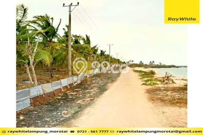 Tanah Area Potensial di Kalianda, Luas 116040m2m², Cocok untuk Investasi Tanah Area Potensial di Kalianda, Luas 116040m2m², Cocok untuk Investasi