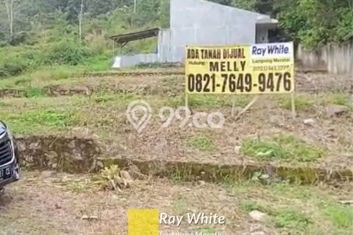 Tanah Kosong Dijual di Bandar Lampung dengan Area 8185m2 Tanah Kosong Dijual di Bandar Lampung dengan Area 8185m2