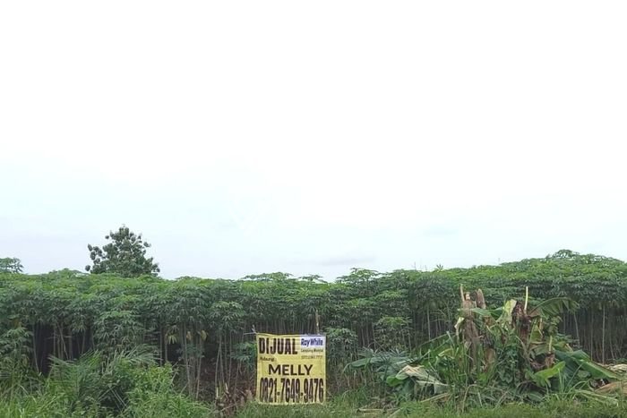 Tanah di Bumi Ratu Nuban, Lampung Tengah Luas 9430m2 Dijual Segera Tanah di Bumi Ratu Nuban, Lampung Tengah Luas 9430m2 Dijual Segera