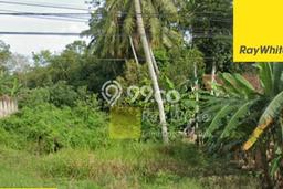 Lahan Kosong Dijual di Lampung Timur dengan Area 47154m2 Lahan Kosong Dijual di Lampung Timur dengan Area 47154m2