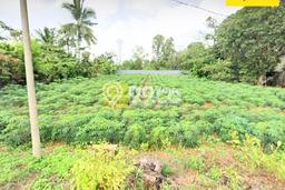 Tanah di Terbanggi Besar, Lampung Tengah Luas 1860m2 Dijual Segera Tanah di Terbanggi Besar, Lampung Tengah Luas 1860m2 Dijual Segera