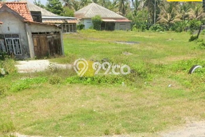 Tanah Dijual Lokasi Ketapang Lampung Selatan SHM Tanah Dijual Lokasi Ketapang Lampung Selatan SHM