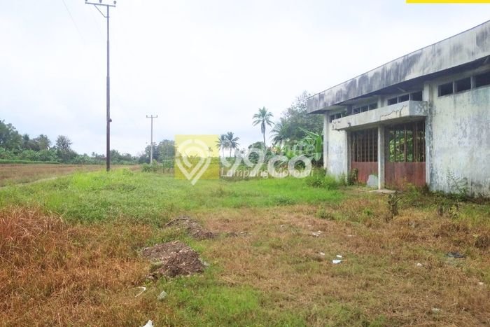 Lahan untuk Dijual Lokasi Natar, Lampung Selatan Luas 9680m2 SHM Lahan untuk Dijual Lokasi Natar, Lampung Selatan Luas 9680m2 SHM