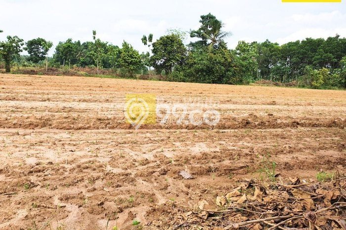 Lahan untuk Dijual Lokasi Natar, Lampung Selatan Luas 93m2 SHM Lahan untuk Dijual Lokasi Natar, Lampung Selatan Luas 93m2 SHM