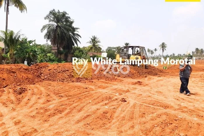 Kavling Tanah Dijual di Labuhan Ratu Lampung Timur Spesifikasi 57000m2 Kavling Tanah Dijual di Labuhan Ratu Lampung Timur Spesifikasi 57000m2