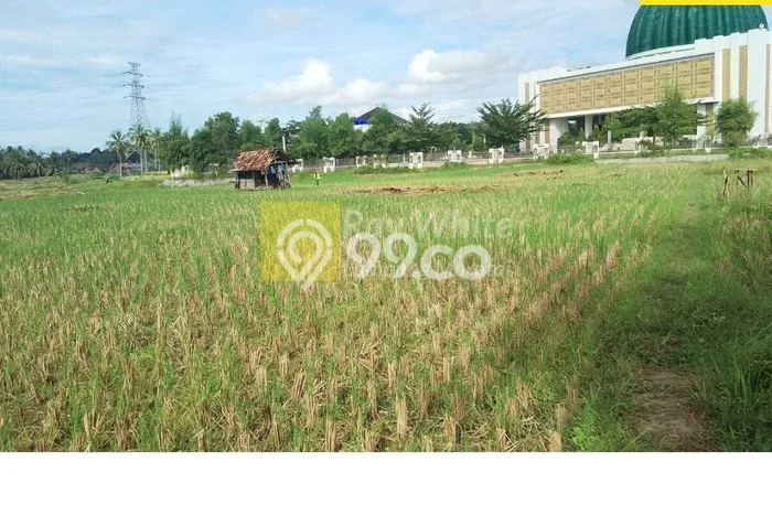 LOKASI STRATEGIS! Tanah di Pringsewu, Luas 2447m², Akses Mudah LOKASI STRATEGIS! Tanah di Pringsewu, Luas 2447m², Akses Mudah