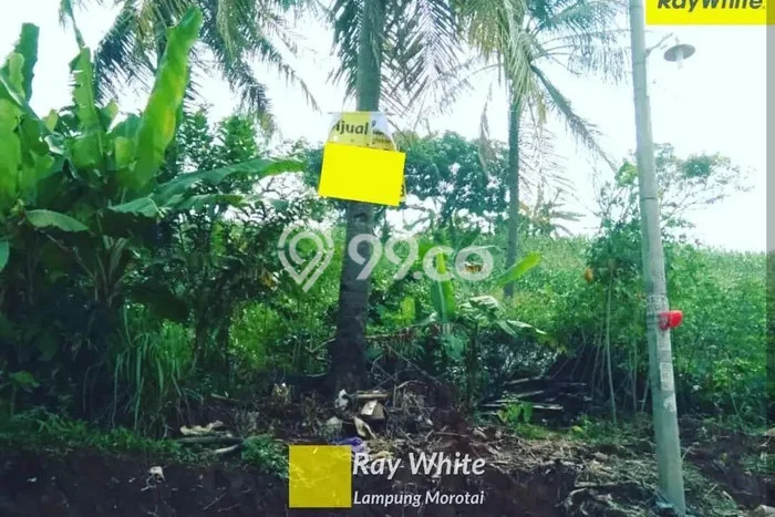 Tanah Kosong Dijual di Bandar Lampung dengan Area 15090m2 Tanah Kosong Dijual di Bandar Lampung dengan Area 15090m2
