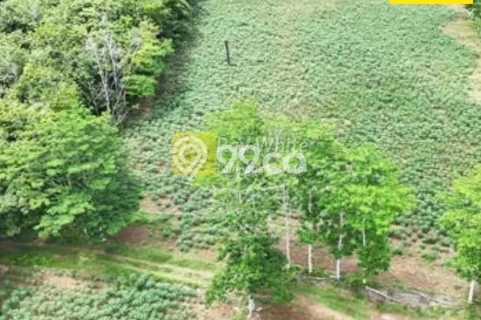 Kavling Tanah Dijual di Abung Selatan, Lampung Utara, Luas 19800m2 Area Strategis Kavling Tanah Dijual di Abung Selatan, Lampung Utara, Luas 19800m2 Area Strategis