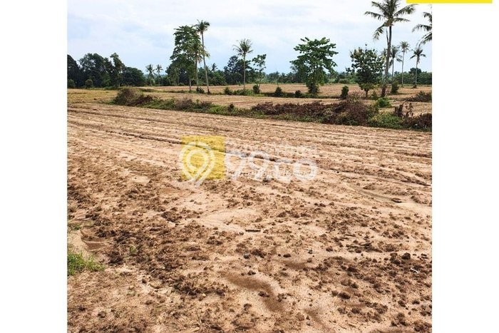 Lahan untuk Dijual Lokasi Natar, Lampung Selatan Luas 93m2 SHM Lahan untuk Dijual Lokasi Natar, Lampung Selatan Luas 93m2 SHM