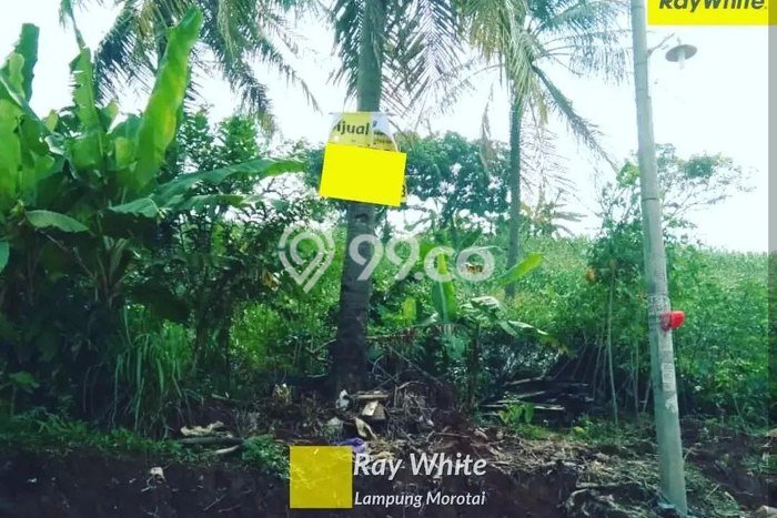 Lahan untuk Dijual di Panjang Bandar Lampung Luas 15090m2 Lahan untuk Dijual di Panjang Bandar Lampung Luas 15090m2