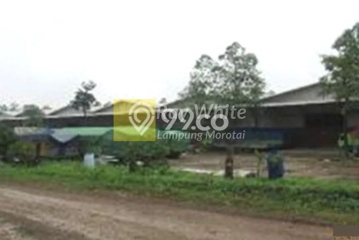 Lahan Dijual Lokasi Natar, Lampung Selatan dengan Luas Tanah 66478m2 dan Status SHM Lahan Dijual Lokasi Natar, Lampung Selatan dengan Luas Tanah 66478m2 dan Status SHM