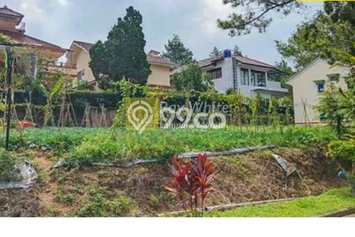 Tanah untuk Dijual di Cipanas Cianjur Luas 170m2 Tanah untuk Dijual di Cipanas Cianjur Luas 170m2