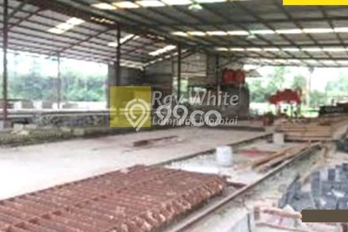 Lahan Dijual Lokasi Natar, Lampung Selatan dengan Luas Tanah 66478m2 dan Status SHM Lahan Dijual Lokasi Natar, Lampung Selatan dengan Luas Tanah 66478m2 dan Status SHM