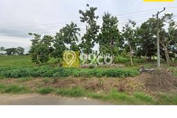 Lahan Strategis di Terbanggi Besar Dijual dengan Luas 19818m2 Lahan Strategis di Terbanggi Besar Dijual dengan Luas 19818m2