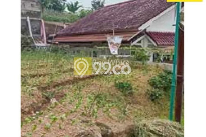 Lahan Investasi Lokasi Cipanas Cianjur SHM Lahan Investasi Lokasi Cipanas Cianjur SHM